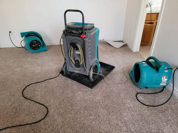 Best Carpet water damage restoration  in Union City, GA