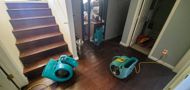 Best Ceiling water damage repair  in Union City, GA