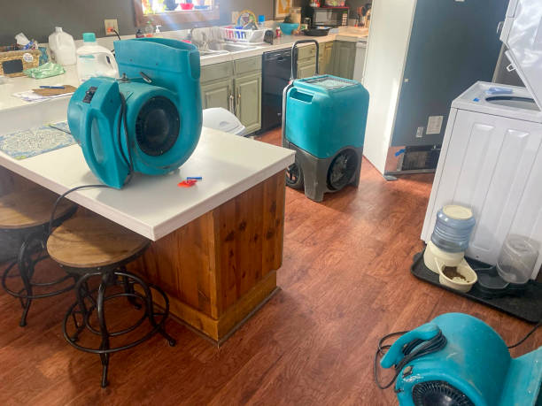 Best Water damage cleanup near me  in Union City, GA