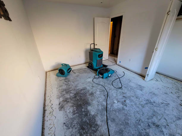 Best Residential water damage restoration  in Union City, GA