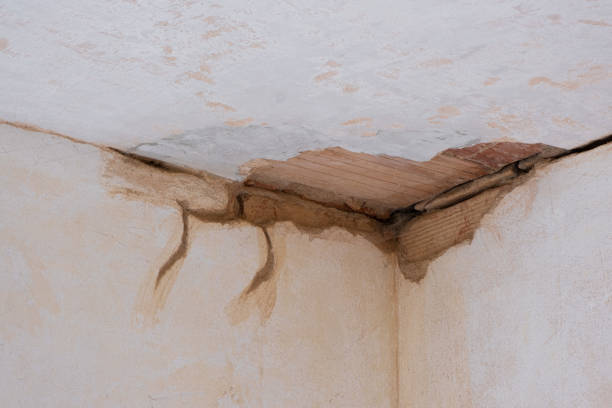 Best Fire Damage Restoration  in Union City, GA
