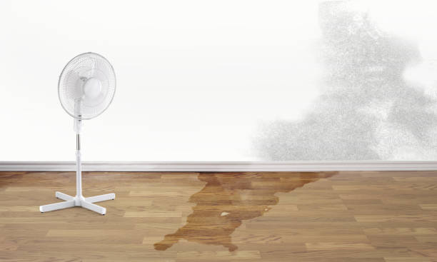 Best Flood damage cleanup  in Union City, GA