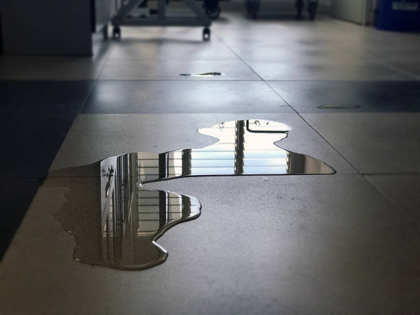 Best Water damage restoration near me  in Union City, GA