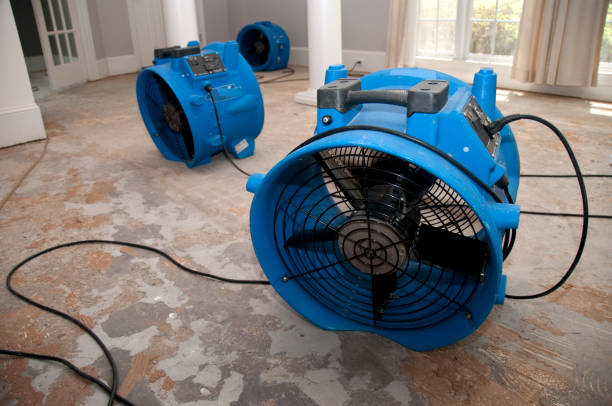 Best Local water damage restoration  in Union City, GA