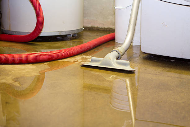 Best Professional water damage repair  in Union City, GA