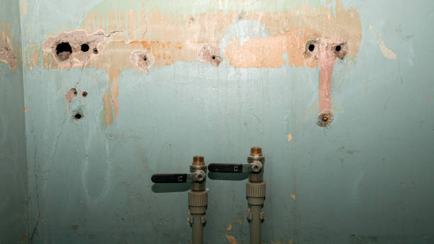 Best Water damage restoration process  in Union City, GA