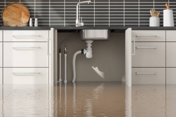 Best Flooded house restoration  in Union City, GA
