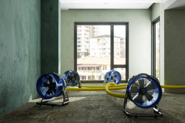 Best Water damage repair service  in Union City, GA